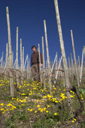 Francois Merlin in Condrieu Vineyards